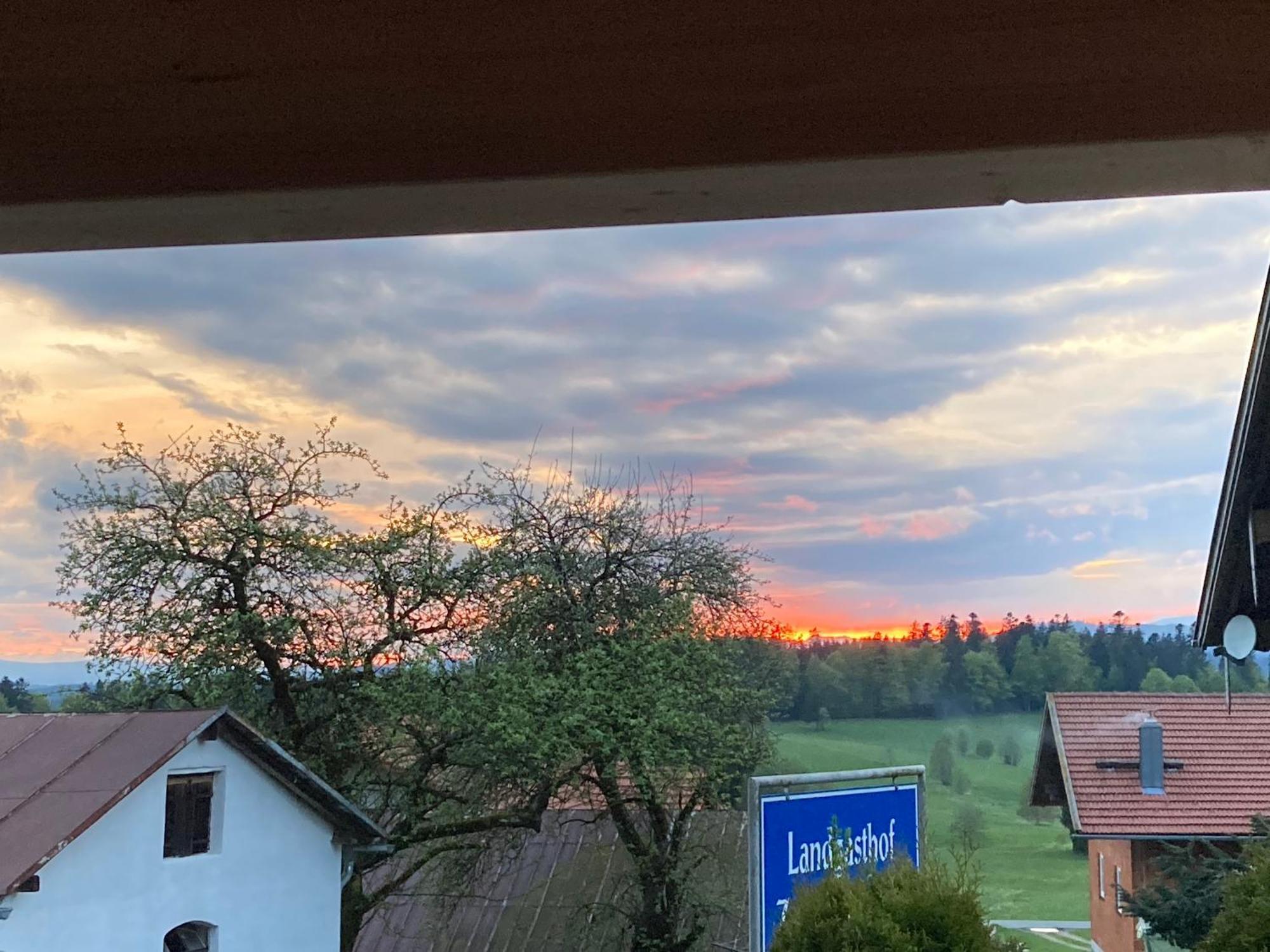Zur Neuen Post Landgasthof Herzogsreut المظهر الخارجي الصورة